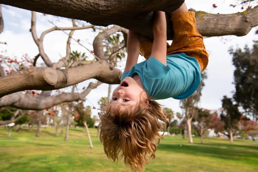 Aimee Sandler Portrait